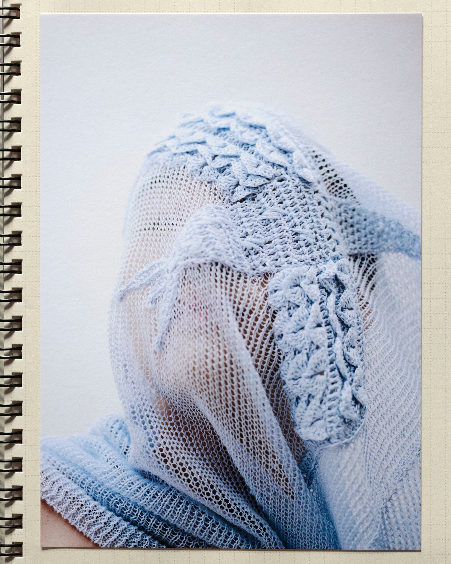 bird mesh knit - sky